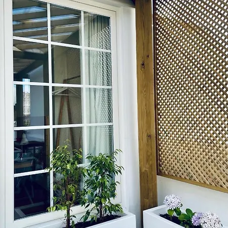 Pdl House *
