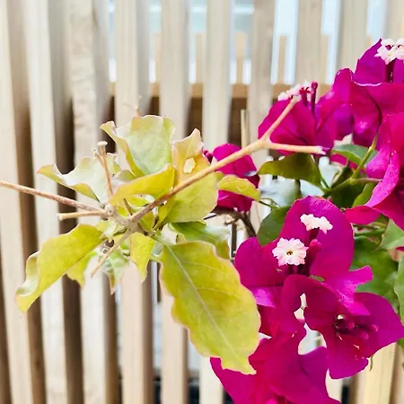 Hostel Pdl House Ponta Delgada (Sao Miguel)