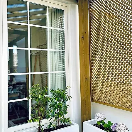 Pdl House Hostel *