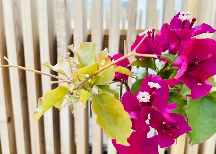 호스텔 Pdl House Ponta Delgada